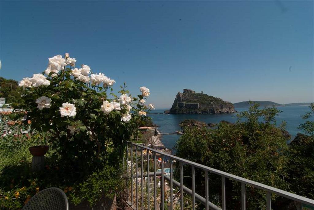 la-ninfea-ischia-porto-3